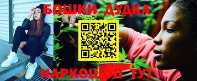 индика Тверь