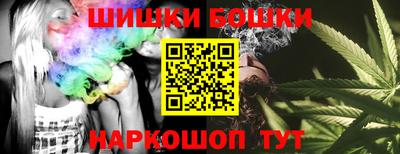 индика Тверь