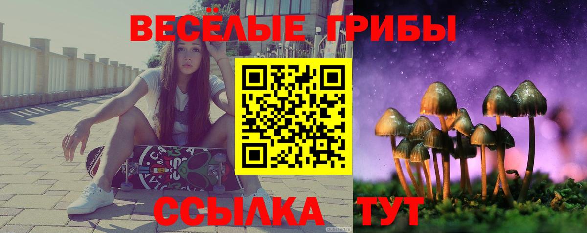 Псилоцибиновые грибы Psilocybine cubensis  Вход с VPN  Сатка 