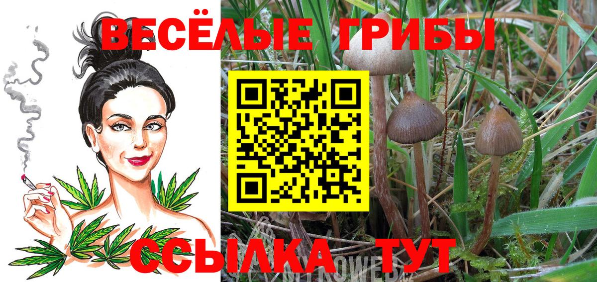 Галлюциногенные грибы ЛСД Сатка